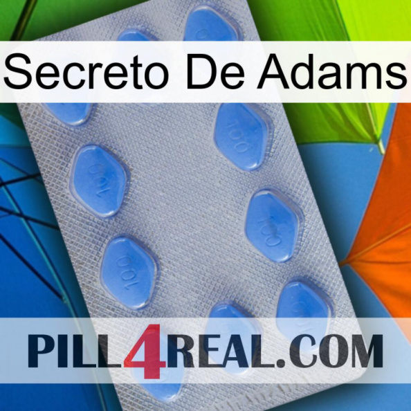 Adams Secret 21.jpg